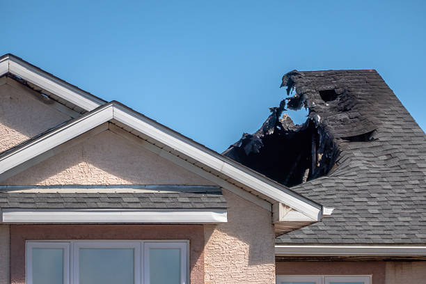 Top rated local Odor Removal specialists in Wynnewood, PA